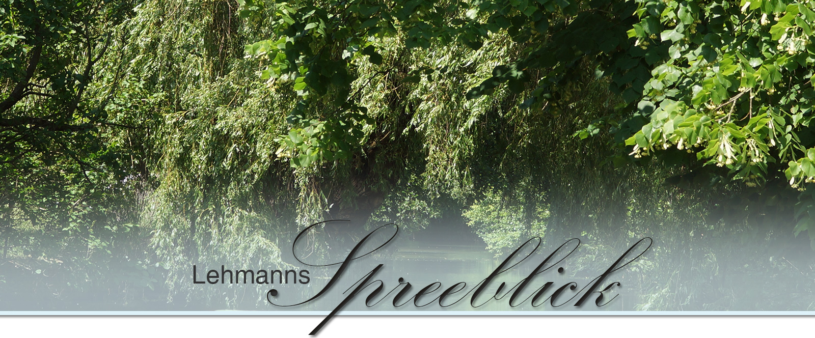 Lehmanns Spreeblick Spreewald